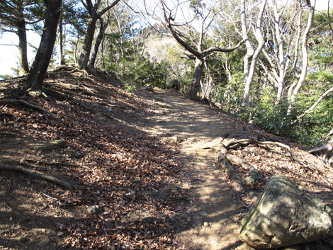 20170126hike (301)